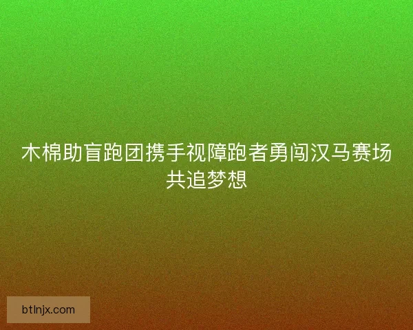 木棉助盲跑团携手视障跑者勇闯汉马赛场共追梦想